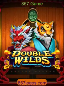 Explorando o Universo de DoubleWilds: Um Guia Completo para o Novo Jogo 857.Game